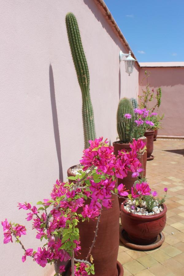 Riad El Arco Rooftop Pool & Spa Marrakesh Exterior photo